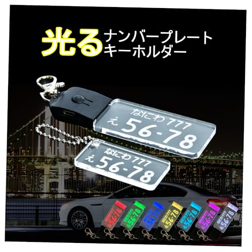 [EXLEAD] 【所ジョージの世田谷ベース掲載】 光る ナンバープレート キーホルダー ブラック × クリア ナンバーキーホルダー LED 車 バイク ナンバー おしゃれ USB充電式